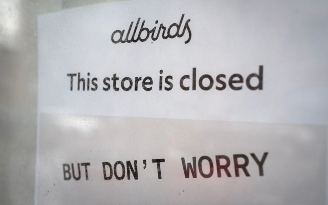 Allbirds zmienia strategię i inwestuje w infrastrukturę AI