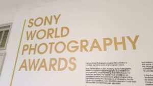 Sony ogłosiła zwycięzców World Photography Awards 2026
