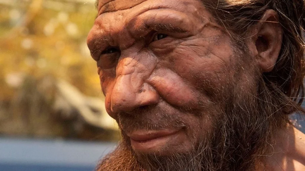 Odkrycie w polskiej jaskini: zęby neandertalczyka zmieniają naszą wiedzę