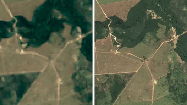 Google tworzy mapę satelitarną do ochrony brazylijskich lasów