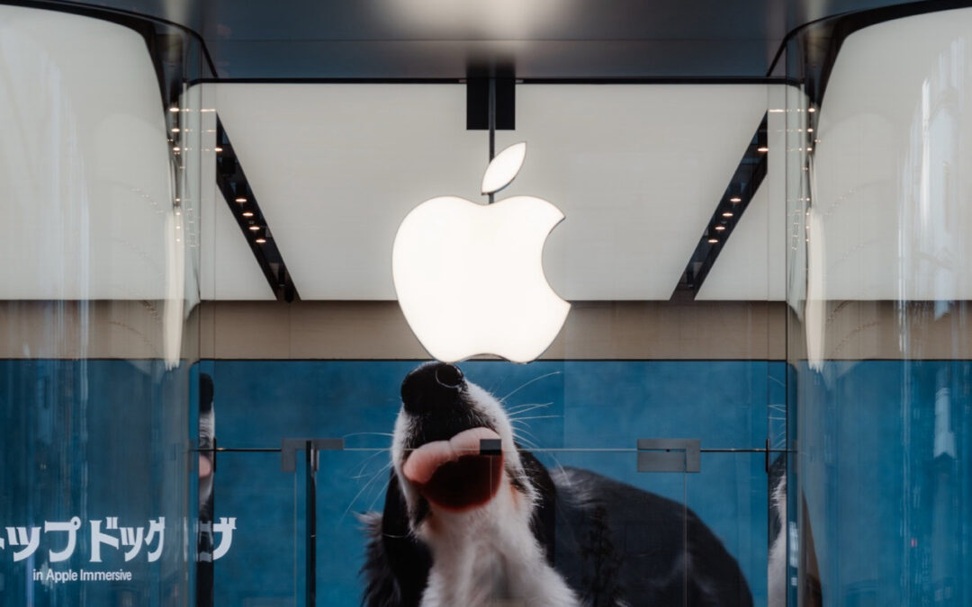 Apple wznawia pracę nad serialem The Savant po dziesięciu miesiącach przerwy