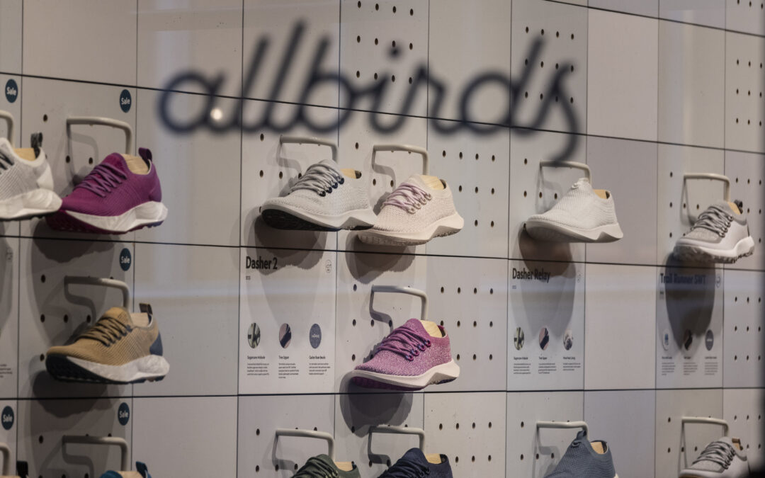Allbirds zmienia strategię: z produkcji butów przechodzi na sprzedaż GPU AI