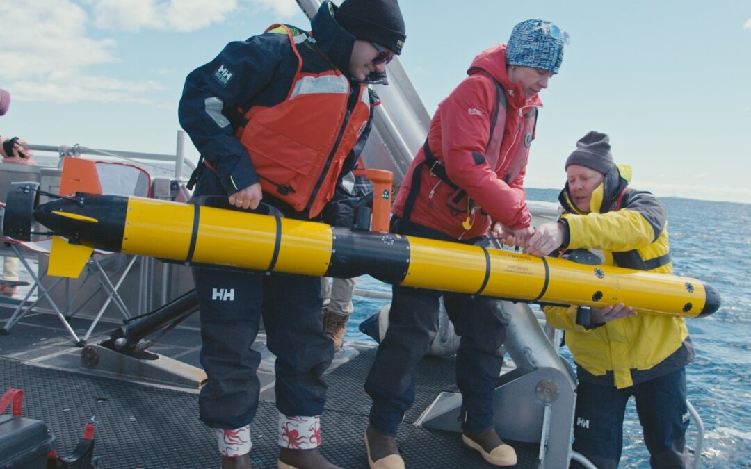 Roboty pod wodą spotykają nurków. MIT zmienia zasady gry