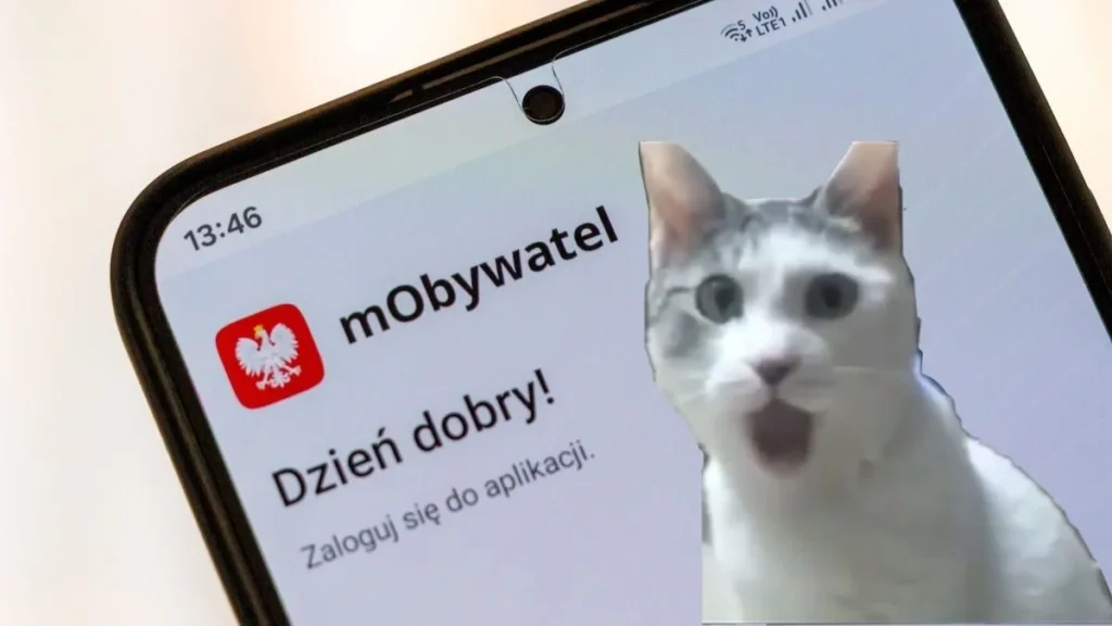 mObywatel rozwalił system. Rejestracja bez wizyty w urzędzie