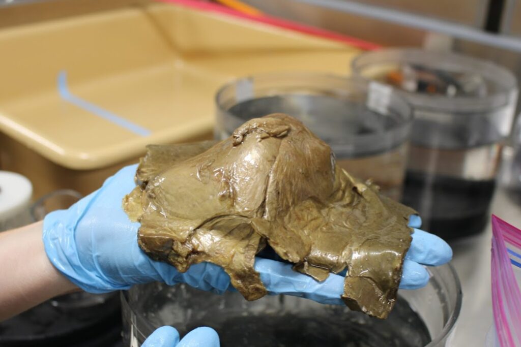 Naukowcy rozwiązali zagadkę tajemniczej złotej kuli z dna oceanu