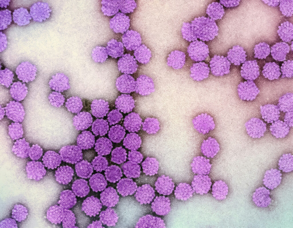 Bioinżynieria stworzyła gumę do żucia, która walczy z wirusem HPV