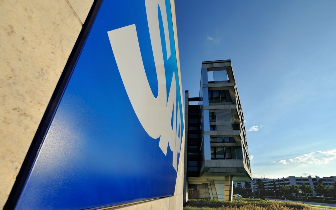 SAP: Zarządzanie AI w przedsiębiorstwach chroni marże zysku
