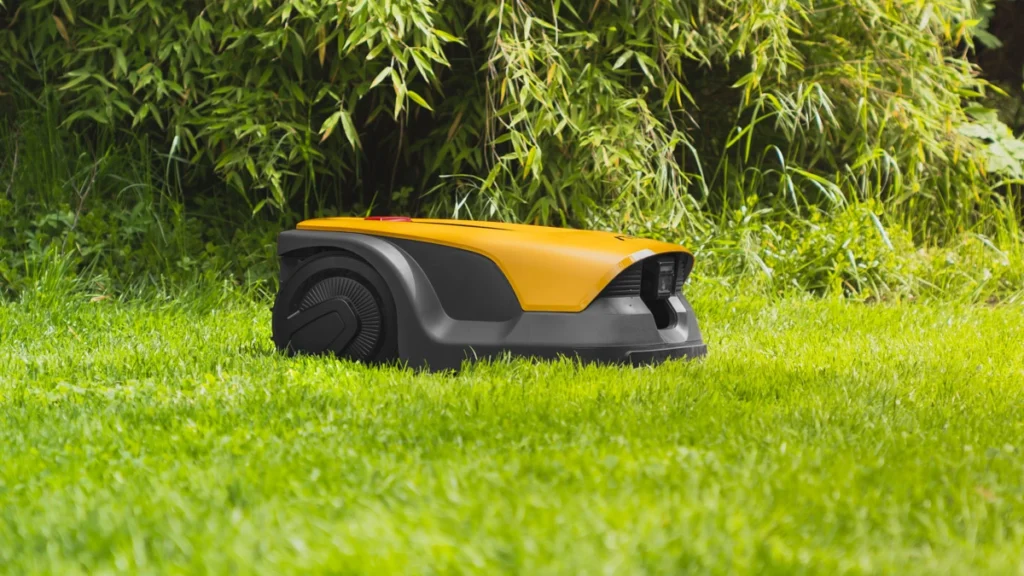 Jak robot koszący postrzega twój ogród?