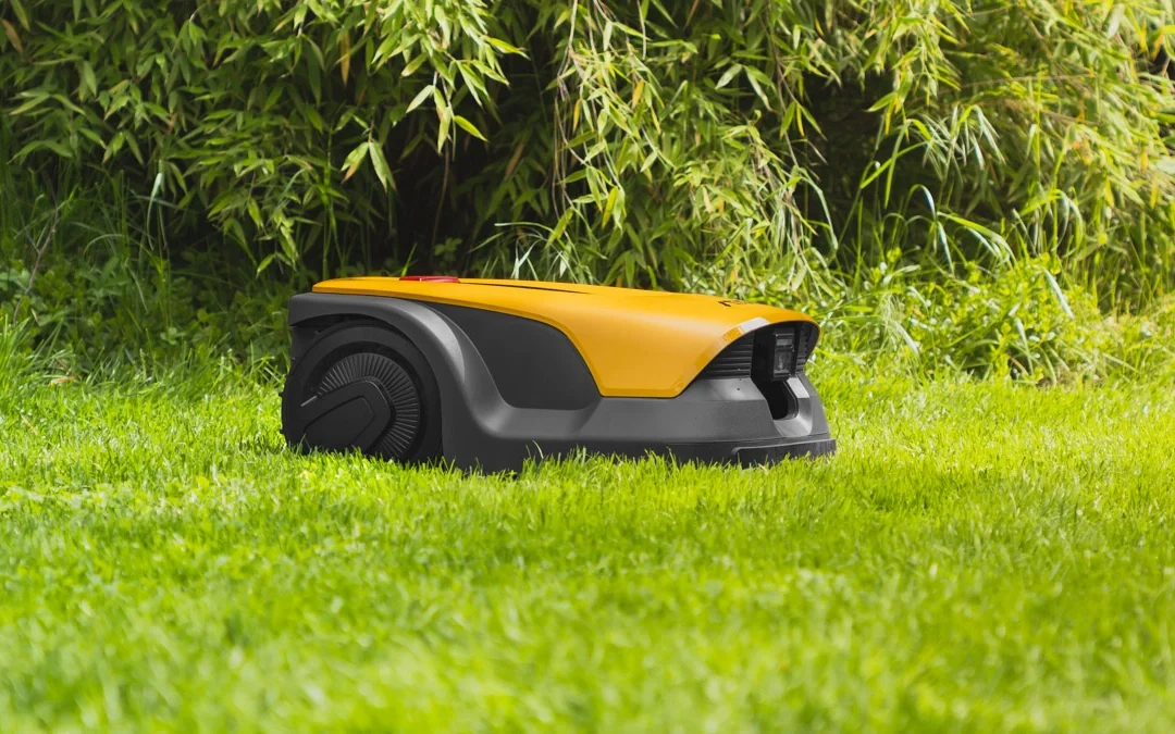 Jak robot koszący postrzega twój ogród?