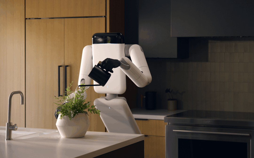 Humanoidalny robot Eno nie wygląda jak człowiek, ale działa jak on