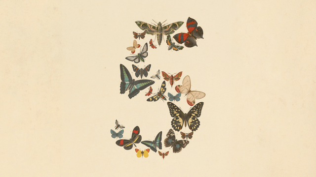 Anthropic wydaje Claude Fable 5 i Claude Mythos 5