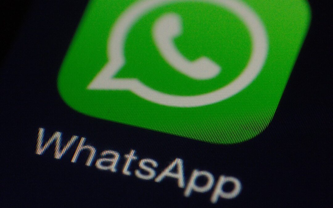 WhatsApp Plus od Meta – płatna subskrypcja za zmianę koloru aplikacji
