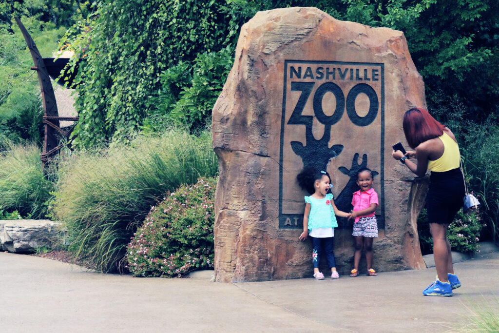 Zoo w Nashville walczy z centrum danych AI zagrażającym zagrożonym zwierzętom