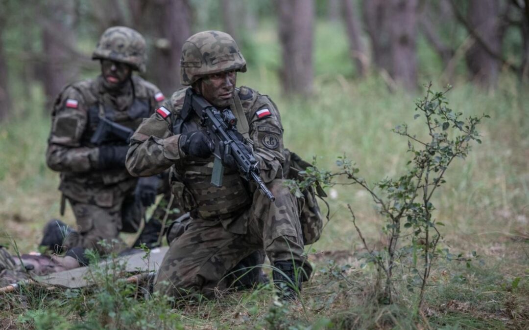 Polska opracowała drona Szerszeń – amunicja krążąca z zasięgiem do Moskwy