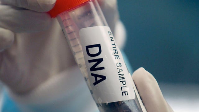Model AI wytrenowany na DNA stworzył 16 nowych wirusów nieznanych naturze
