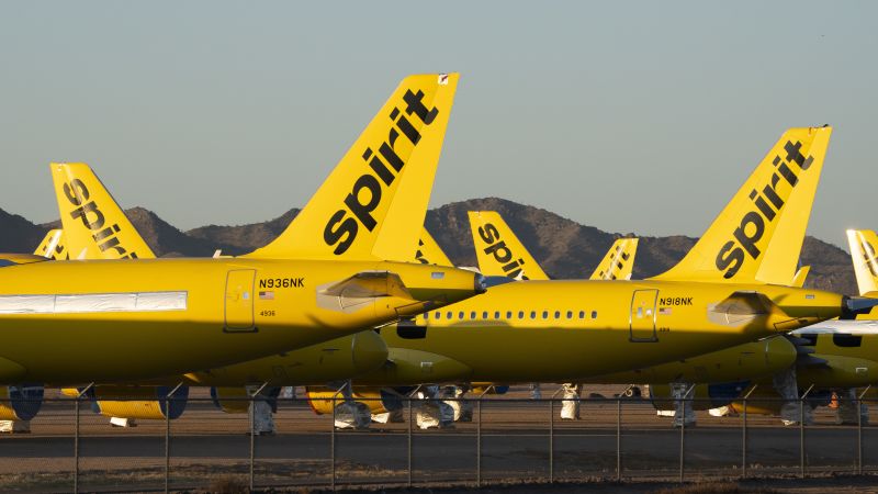 Google kupuje dane Spirit Airlines za 10 mln USD do trenowania AI