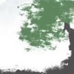 Terence Tao popiera apel matematyków o bojkot OpenAI