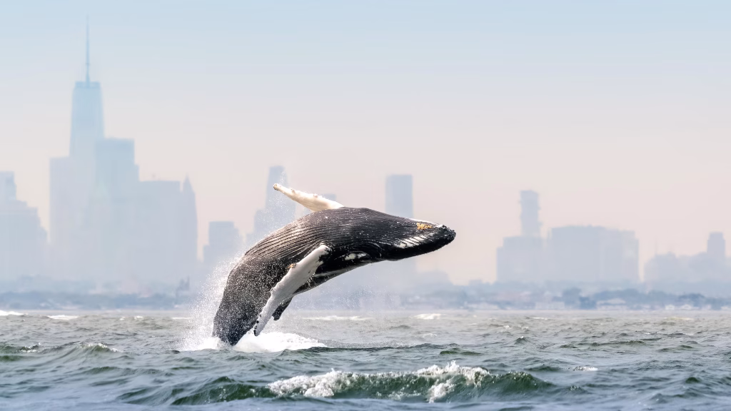 Blue Planet III celowo zachowuje niedoskonałości, by odróżnić się od AI