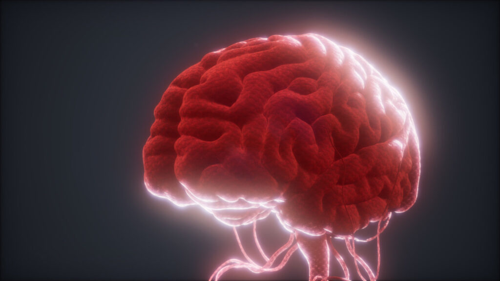 Żywe neurony zamiast krzemu – biologiczne centrum danych w Singapurze
