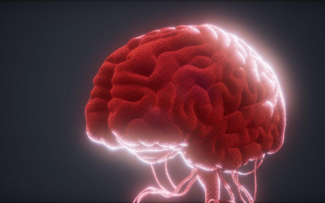 Żywe neurony zamiast krzemu – biologiczne centrum danych w Singapurze